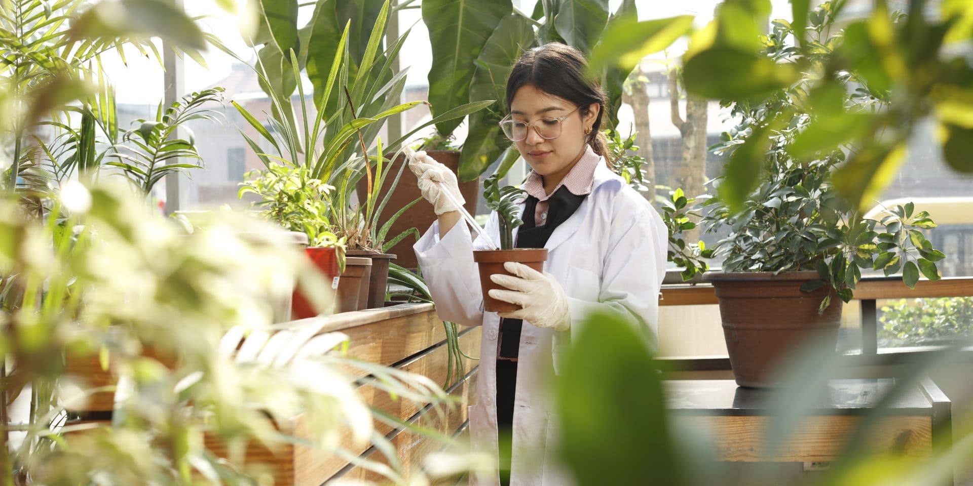 Prospectus-2082-United Academy